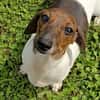 KELLY sucht eine neue Familie!