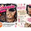 Tchéquie réservée