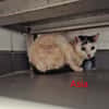 Asia