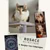 Rosace