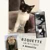 Biquette