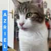 AZRIEL ET CALIBAN À ADOPTER ENSEMBLE