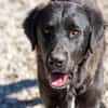 Crumble- Riesenbaby sucht dich