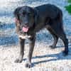 Crumble- Riesenbaby sucht dich