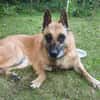 🆘🆘🆘 Ruby in 91616 Neusitz 🆘🆘🆘