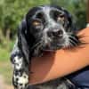 Holly sucht Geborgenheit in ihrer eigenen Familie