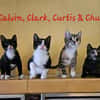 Calvin, Clark, Curtis & Chucky
