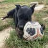 XENA A TROUVE SA FAMILLE