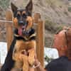 LOLA (Los Reyes)