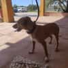 PILI (Maria)