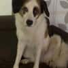 Hiro m ca 4 Jahre