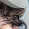 NALA