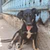 Zahara, sucht Liebe