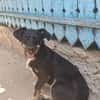 Zahara, sucht Liebe