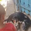 Zahara, sucht Liebe