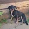 Zahara, sucht Liebe