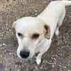 Kleine Ophelia braucht starkes Zuhause