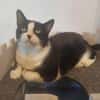 Seniorin Püppi sucht liebevollen Altersruhesitz