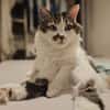 Hopper