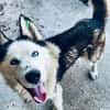 🆘DRINGEND PFLEGESTELLE für AURORA ab 31.10‼🆘