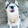 🆘DRINGEND PFLEGESTELLE für AURORA ab 31.10‼🆘