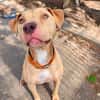 CINCINNATI dit PACO VAA