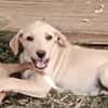 BOUBA