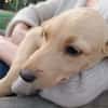 BOUBA