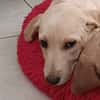 BOUBA