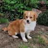 Maggy sucht ihre Familie