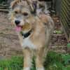 Luna sucht ihre Familie
