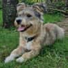 Luna sucht ihre Familie