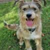 Luna sucht ihre Familie