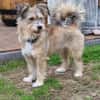 Luna sucht ihre Familie