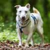 JONATHAN -sucht erfahrene Menschen-