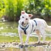 JONATHAN -sucht erfahrene Menschen-