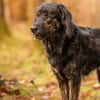 JAMPY * sportlicher Schmuser