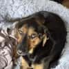 Wundervolle♥Aylini♥wartet 90530 Wendelstein auf ihre Familie