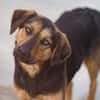 Wundervolle♥Aylini♥wartet 90530 Wendelstein auf ihre Familie