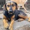 Wundervolle♥Aylini♥wartet 90530 Wendelstein auf ihre Familie