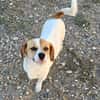 NELLY sucht 4ever home