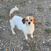 NELLY sucht 4ever home