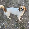 NELLY sucht 4ever home