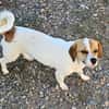 NELLY sucht 4ever home