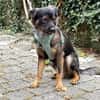 Der hübsche Moritz sucht ein neues Zuhause!