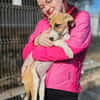 Liebes Windhund Mix Mädel sucht Familie