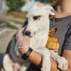 Zarte Caluna sucht ihre Familie