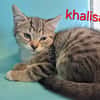 KHALISA