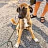 Nafiz sucht sein Happy End