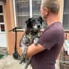 Lusi - kleine Hundeoma sucht Zuhause